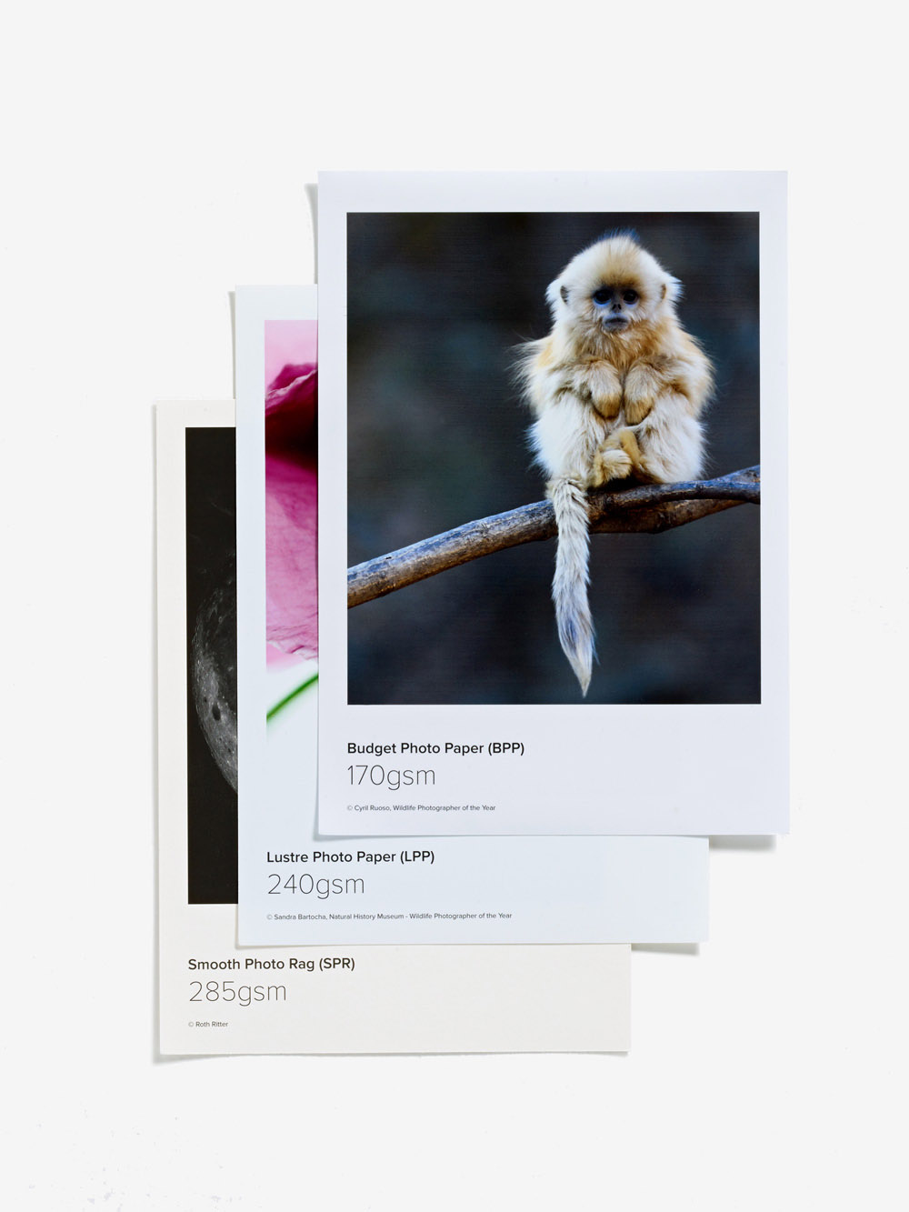 Musterpapiere in unserer Gratis-Packung